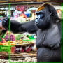 vitis-ai_gorilla_market_yolovx.jpg